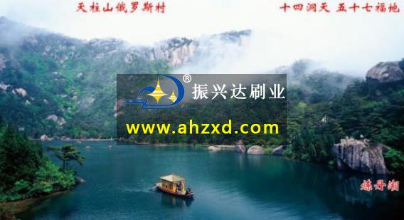2020安徽潜山（上海）文化旅游宣传推介会