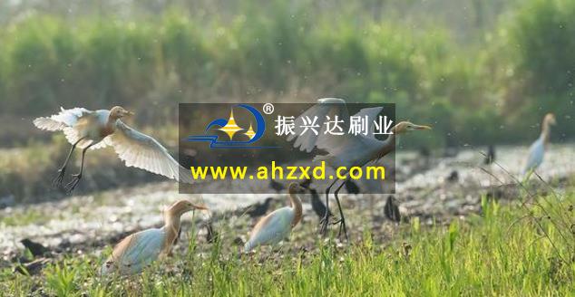 360截图20210222111352619.jpg